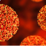 1. ഗര്‍ഭാശയഭിത്തിയിലെ പേശികളെ സങ്കോചിപ്പിക്കാന്‍ സഹായിക്കുന്ന ഹോര്‍മോണ്‍ ഏത്? ഓക്‌സിടോസിന്‍ 2. കര്‍ണ്ണപടത്തിന്റെ ഇരുവശത്തേയും മര്‍ദ്ദം തുല്യമാക്കാന്‍ സഹായിക്കുന്ന ഭാഗം ഏത്? യൂസ്റ്റേഷ്യന്‍നാളി 3. ശരീരത്തിന്റെ രോഗപ്രതിരോധശേഷിയെ തകരാറിലാക്കുന്ന രോഗം ഏതാണ്? എയ്ഡ്‌സ് 4. ഏത് ഗ്രന്ഥിയാണ് ശരീര വളര്‍ച്ചയെ നിയന്ത്രിക്കുന്നത്? പിറ്റിയൂട്ടറി ഗ്രന്ഥി 5. ശരീരവളര്‍ച്ചയ്ക്ക് സഹായിക്കുന്ന പോഷക ഘടകം ഏത്? പ്രോട്ടീന്‍ 6. ഏത് സൂക്ഷ്മ ജീവിയാണ് അത്‌ലറ്റ്‌സ് ഫൂട്ട് എന്ന രോഗം ഉണ്ടാക്കുന്നത്? ഫംഗസ് 7. പ്രമേഹ രോഗ ബോധവല്‍ക്കരണത്തിന് ഉപയോഗിക്കുന്ന ലോഗോ ഏത്? നീല വൃത്തം 8. ചുവടെ തന്നിരിക്കുന്നവയില്‍ ശ്വാസകോശ രോഗമേത്? എംഫിസിമ 9. ലെപ്‌റ്റോസ്‌പൈറ ബാക്ടീരിയ ഉണ്ടാക്കുന്ന രോഗം ഏത്? എലിപ്പനി 10. ഏത് രോഗത്തിനെ തടയാനാണ് ബിസിജി വാക്‌സിനെടുക്കുന്നത്? ക്ഷയം 11. ആന്റി സ്റ്റെറിലിറ്റി ഫാക്ടര്‍ എന്നറിയപ്പെടുന്ന ജീവകം ഏതാണ്? വൈറ്റമിന്‍ ഇ 12. മസ്തിഷ്‌കത്തിലെ ഏറ്റവും വലിയ ഭാഗം ഏതാണ്? സെറിബ്രം 13. മെനിഞ്ചൈറ്റിസ് രോഗം മനുഷ്യ ശരീരത്തിന്റെ ഏത് അവയവത്തെയാണ് ബാധിക്കുന്നത്? തലച്ചോറ് 14. എല്ലാവര്‍ക്കും ദാനം ചെയ്യാവുന്ന രക്തഗ്രൂപ്പ് ഏത്? ഒ ഗ്രൂപ്പ് 15. ചെറിയ മുറിവില്‍നിന്നുപോലും അമിതമായി രക്തനഷ്ടമുണ്ടാക്കുന്ന രോഗാവസ്ഥയാണ്? സിക്കിള്‍ സെല്‍ അനീമിയ 16. ആമാശയ രസത്തില്‍ അടങ്ങിയിരിക്കുന്ന ആസിഡ് ഏത്? ഹൈഡ്രോക്ലോറിക് ആസിഡ് 17. ഫെമര്‍ എന്ന അസ്ഥി കാണപ്പെടുന്ന ശരീരഭാഗം ഏത്? കാല് 18. രക്തത്തിലെ ദ്രാവകഭാഗം ഏത് പേരിലറിയപ്പെടുന്നു? പ്ലാസ്മ 19. താഴെ കൊടുത്തിരിക്കുന്നവയില്‍ ഏത് ജീവകമാണ് ടോക്കോഫെറോള്‍? വൈറ്റമിന്‍ ഇ 20. മീനമാത രോഗം ഏതിന്റെ മലിനീകരണവുമായി ബന്ധപ്പെട്ടിരിക്കുന്നു? Hg 21. വിഡാല്‍ ടെസ്റ്റ് ഏത് രോഗ നിര്‍ണ്ണയത്തിനുപയോഗിക്കുന്നു? ടൈഫോയ്ഡ് 22. കേള്‍വിക്ക് സഹായിക്കുന്ന ആന്തര കര്‍ണത്തിന്റെ ഭാഗം ഏത്? കോക്ലിയ 23. സങ്കരയിനം തക്കാളിയേത്? മുക്തി 24. വന്‍കുടലില്‍ വസിക്കുന്ന ബാക്ടീരിയകള്‍ നിര്‍മ്മിക്കുന്ന ജീവകം ഏത്? വൈറ്റമിന്‍ കെ 25. ചിക്കുന്‍ ഗുനിയ രോഗത്തിന് കാരണമാകുന്ന രോഗാണു ഏതാണ്? ആല്‍ഫ വൈറസ് ആല്‍ഫ വൈറസ് ഏത് രോഗത്തിന്റെ രോഗകാരിയാണ്‌, kerala psc question bank, kerala psc questions, kerala, erala psc questions and answers kerala psc previous questions kerala psc repeated questions kerala psc gk questions കേരള PSC ചോദ്യബാങ്ക്, കേരള PSC ചോദ്യങ്ങൾ ഉത്തരങ്ങളും, PSC ചോദ്യങ്ങൾ, kerala psc current affairs 2025 kerala psc history questions kerala psc science questions indian freedom struggle psc questions കറന്റ് അഫയേഴ്സ് 2025 PSC, ഇന്ത്യൻ സ്വാതന്ത്ര്യ സമരം PSC ചോദ്യങ്ങൾ, kerala psc question bank malayalam pdf kerala psc previous year questions with answers malayalam ldc psc questions malayalam kerala psc gk questions and answers 2025 psc repeated questions in malayalam kerala psc 10th level questions malayalam കേരള PSC LDC ചോദ്യങ്ങൾ PSC ഫയർമാൻ ചോദ്യങ്ങൾ ഉത്തരങ്ങൾ, kerala psc previous question papers pdf kerala psc ldc previous questions kerala psc 10th level preliminary questions kerala psc degree level questions,