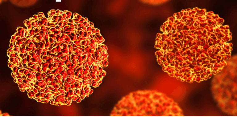 1. ഗര്‍ഭാശയഭിത്തിയിലെ പേശികളെ സങ്കോചിപ്പിക്കാന്‍ സഹായിക്കുന്ന ഹോര്‍മോണ്‍ ഏത്? ഓക്‌സിടോസിന്‍ 2. കര്‍ണ്ണപടത്തിന്റെ ഇരുവശത്തേയും മര്‍ദ്ദം തുല്യമാക്കാന്‍ സഹായിക്കുന്ന ഭാഗം ഏത്? യൂസ്റ്റേഷ്യന്‍നാളി 3. ശരീരത്തിന്റെ രോഗപ്രതിരോധശേഷിയെ തകരാറിലാക്കുന്ന രോഗം ഏതാണ്? എയ്ഡ്‌സ് 4. ഏത് ഗ്രന്ഥിയാണ് ശരീര വളര്‍ച്ചയെ നിയന്ത്രിക്കുന്നത്? പിറ്റിയൂട്ടറി ഗ്രന്ഥി 5. ശരീരവളര്‍ച്ചയ്ക്ക് സഹായിക്കുന്ന പോഷക ഘടകം ഏത്? പ്രോട്ടീന്‍ 6. ഏത് സൂക്ഷ്മ ജീവിയാണ് അത്‌ലറ്റ്‌സ് ഫൂട്ട് എന്ന രോഗം ഉണ്ടാക്കുന്നത്? ഫംഗസ് 7. പ്രമേഹ രോഗ ബോധവല്‍ക്കരണത്തിന് ഉപയോഗിക്കുന്ന ലോഗോ ഏത്? നീല വൃത്തം 8. ചുവടെ തന്നിരിക്കുന്നവയില്‍ ശ്വാസകോശ രോഗമേത്? എംഫിസിമ 9. ലെപ്‌റ്റോസ്‌പൈറ ബാക്ടീരിയ ഉണ്ടാക്കുന്ന രോഗം ഏത്? എലിപ്പനി 10. ഏത് രോഗത്തിനെ തടയാനാണ് ബിസിജി വാക്‌സിനെടുക്കുന്നത്? ക്ഷയം 11. ആന്റി സ്റ്റെറിലിറ്റി ഫാക്ടര്‍ എന്നറിയപ്പെടുന്ന ജീവകം ഏതാണ്? വൈറ്റമിന്‍ ഇ 12. മസ്തിഷ്‌കത്തിലെ ഏറ്റവും വലിയ ഭാഗം ഏതാണ്? സെറിബ്രം 13. മെനിഞ്ചൈറ്റിസ് രോഗം മനുഷ്യ ശരീരത്തിന്റെ ഏത് അവയവത്തെയാണ് ബാധിക്കുന്നത്? തലച്ചോറ് 14. എല്ലാവര്‍ക്കും ദാനം ചെയ്യാവുന്ന രക്തഗ്രൂപ്പ് ഏത്? ഒ ഗ്രൂപ്പ് 15. ചെറിയ മുറിവില്‍നിന്നുപോലും അമിതമായി രക്തനഷ്ടമുണ്ടാക്കുന്ന രോഗാവസ്ഥയാണ്? സിക്കിള്‍ സെല്‍ അനീമിയ 16. ആമാശയ രസത്തില്‍ അടങ്ങിയിരിക്കുന്ന ആസിഡ് ഏത്? ഹൈഡ്രോക്ലോറിക് ആസിഡ് 17. ഫെമര്‍ എന്ന അസ്ഥി കാണപ്പെടുന്ന ശരീരഭാഗം ഏത്? കാല് 18. രക്തത്തിലെ ദ്രാവകഭാഗം ഏത് പേരിലറിയപ്പെടുന്നു? പ്ലാസ്മ 19. താഴെ കൊടുത്തിരിക്കുന്നവയില്‍ ഏത് ജീവകമാണ് ടോക്കോഫെറോള്‍? വൈറ്റമിന്‍ ഇ 20. മീനമാത രോഗം ഏതിന്റെ മലിനീകരണവുമായി ബന്ധപ്പെട്ടിരിക്കുന്നു? Hg 21. വിഡാല്‍ ടെസ്റ്റ് ഏത് രോഗ നിര്‍ണ്ണയത്തിനുപയോഗിക്കുന്നു? ടൈഫോയ്ഡ് 22. കേള്‍വിക്ക് സഹായിക്കുന്ന ആന്തര കര്‍ണത്തിന്റെ ഭാഗം ഏത്? കോക്ലിയ 23. സങ്കരയിനം തക്കാളിയേത്? മുക്തി 24. വന്‍കുടലില്‍ വസിക്കുന്ന ബാക്ടീരിയകള്‍ നിര്‍മ്മിക്കുന്ന ജീവകം ഏത്? വൈറ്റമിന്‍ കെ 25. ചിക്കുന്‍ ഗുനിയ രോഗത്തിന് കാരണമാകുന്ന രോഗാണു ഏതാണ്? ആല്‍ഫ വൈറസ് ആല്‍ഫ വൈറസ് ഏത് രോഗത്തിന്റെ രോഗകാരിയാണ്‌, kerala psc question bank, kerala psc questions, kerala, erala psc questions and answers kerala psc previous questions kerala psc repeated questions kerala psc gk questions കേരള PSC ചോദ്യബാങ്ക്, കേരള PSC ചോദ്യങ്ങൾ ഉത്തരങ്ങളും, PSC ചോദ്യങ്ങൾ, kerala psc current affairs 2025 kerala psc history questions kerala psc science questions indian freedom struggle psc questions കറന്റ് അഫയേഴ്സ് 2025 PSC, ഇന്ത്യൻ സ്വാതന്ത്ര്യ സമരം PSC ചോദ്യങ്ങൾ, kerala psc question bank malayalam pdf kerala psc previous year questions with answers malayalam ldc psc questions malayalam kerala psc gk questions and answers 2025 psc repeated questions in malayalam kerala psc 10th level questions malayalam കേരള PSC LDC ചോദ്യങ്ങൾ PSC ഫയർമാൻ ചോദ്യങ്ങൾ ഉത്തരങ്ങൾ, kerala psc previous question papers pdf kerala psc ldc previous questions kerala psc 10th level preliminary questions kerala psc degree level questions,